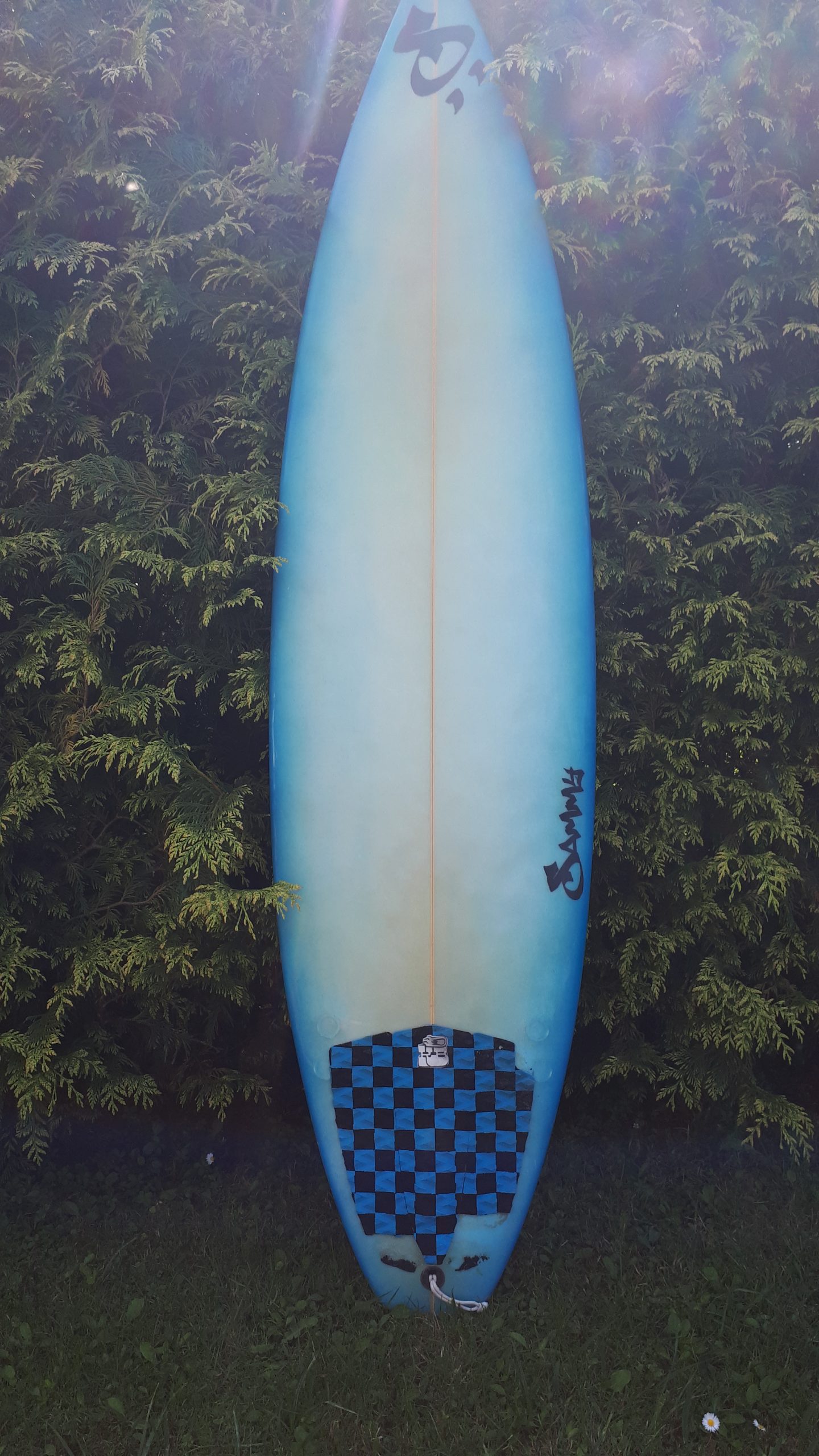 Sammy surfboards
