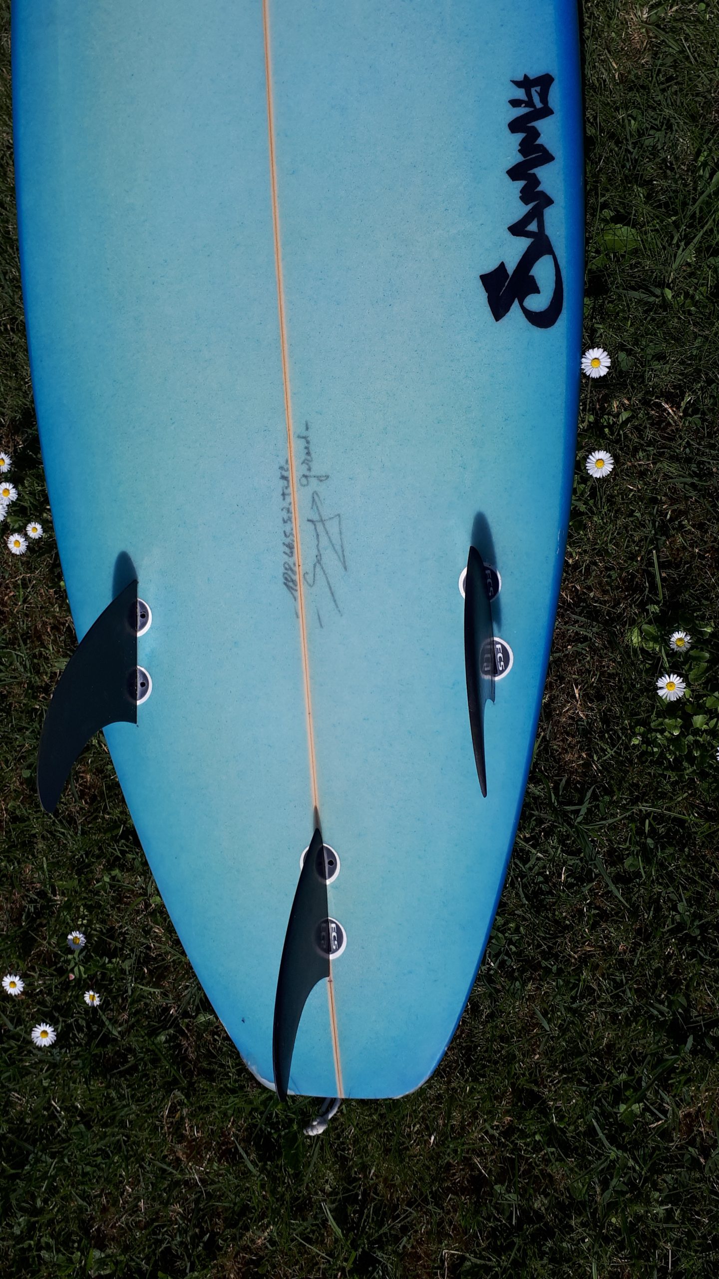 Sammy surfboards
