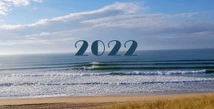 Surfing Vox 2022