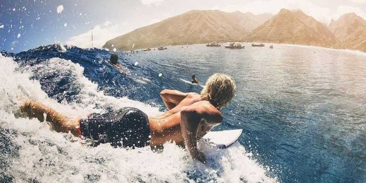 surfing vox surf info