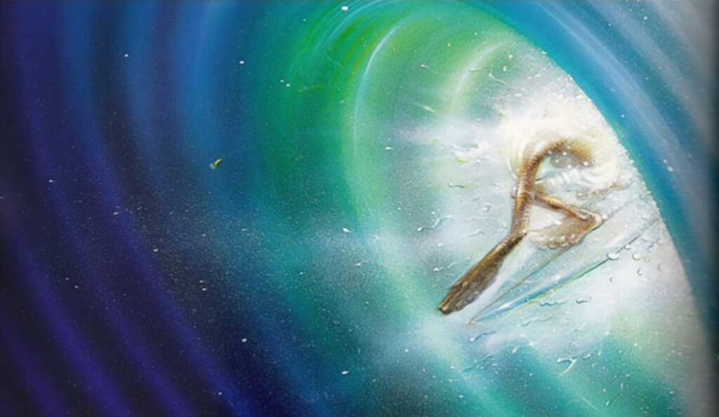 Griffin Surf